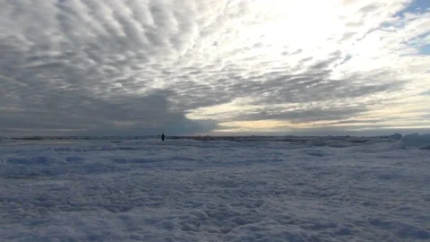 People walking alone in the middle of the ice floe, North Pole Video stock 104856370