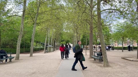 People walking along a beautiful tree-lined path Jardin du Luxembourg in Paris Stock Footage 337782817