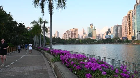 People walking along lakeside path with flowers Bangkok park Vidéo 332359812