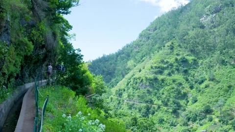 People walking along a levada trail in madeira, portugal Stockbeeldmateriaal 333696193