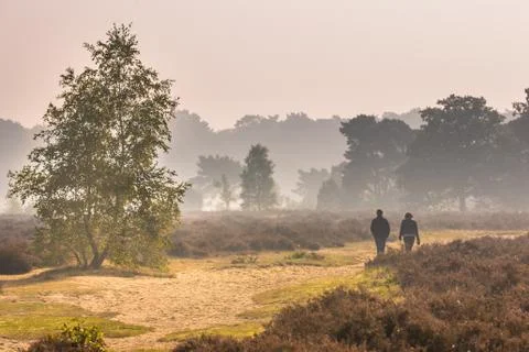 People walking along path through heathland under autumn light Stock Photos
