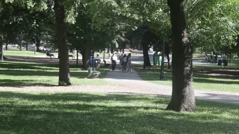 People Walking Along Pathway in Sunlit Public Park Vidéo 341330062
