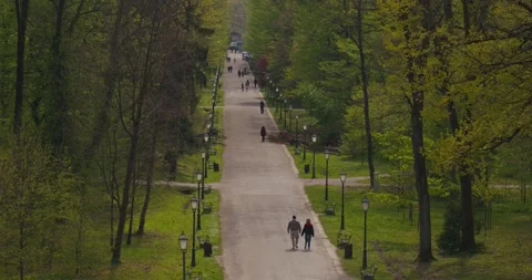 People walking along tree-lined path in park 스톡 동영상 332511579