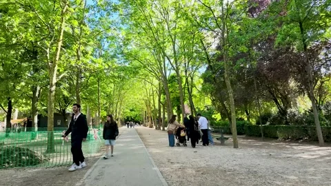 People Walking Along a Tree Lined Pathway in a Paris Park Stock Footage 335359656