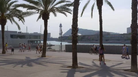 People walking among palm trees in Barcelona Video stock 68340504