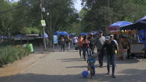 People Walking And Enjoying Chapultepec Park, Mexico City Stock Footage 154534356