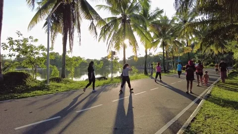 People walking and jogging in the park Stock Footage 196204761