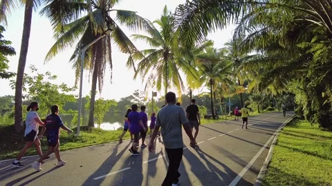 People walking and jogging in the park Stock Footage 196204762