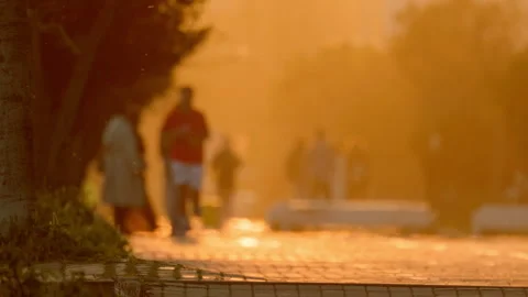 People walking and jogging at sunset in a city park Stock Footage 330521006