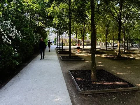 People walking and jogging in a tree lined park in Paris, France with shade.. Stock Photos
