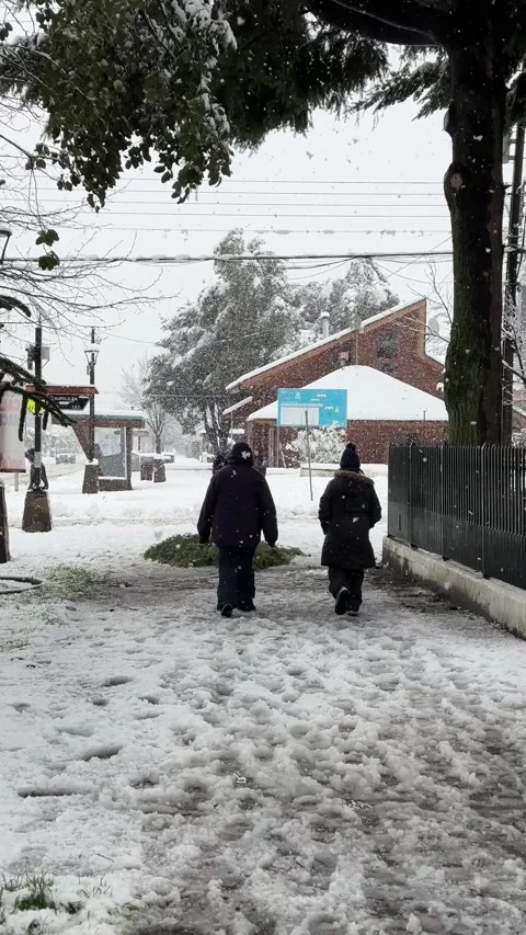 People Walking and Playing in Snowfall at Melipeuco Chile Winter Street Scene Stock Footage 346618281