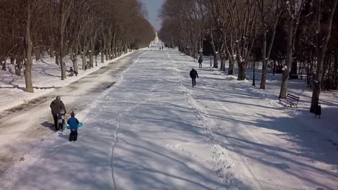 People walking and sledding down snowy park avenue 스톡 동영상 345275741