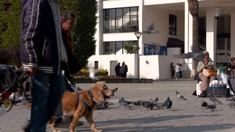 People walking around Stock Footage 104090772