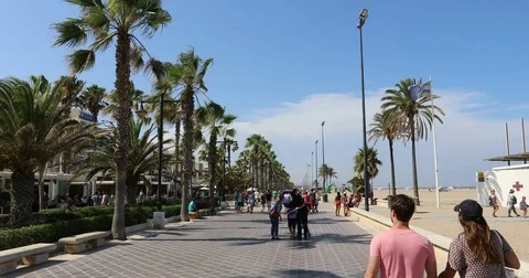 People Walking the Beach Bay Stock Footage 80845093