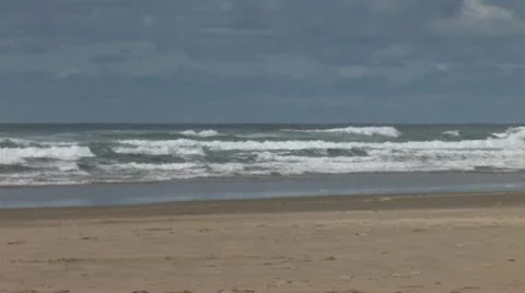 People Walking on the Beach Stock-Footage 10560532