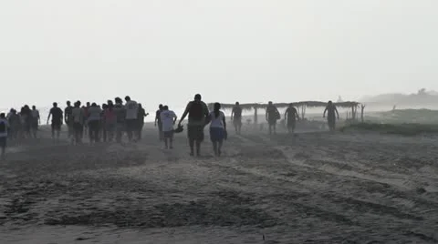 People Walking on the Beach Stock Footage 11195123