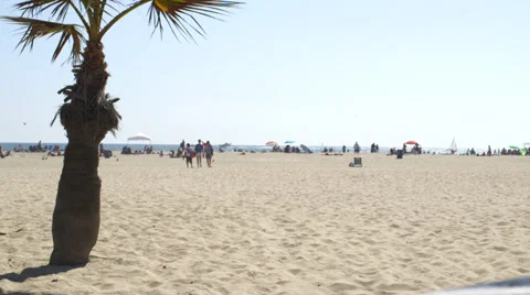 People walking on the beach Stock Footage 32162800