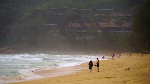 People walking on the beach Stock Footage 72978463