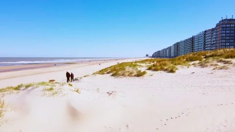 People walking on the beach Stock Footage 310780598