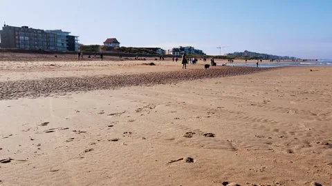 People walking on the beach Stock Footage 319287974