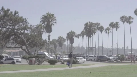 People Walking at Beach Park 스톡 동영상 83634578