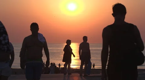 People Walking Beach Sunset Vidéo 53240486