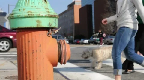 People Walking Behind Fire Hydrant - Fire Hydrant Closeup Stock Footage 7743680