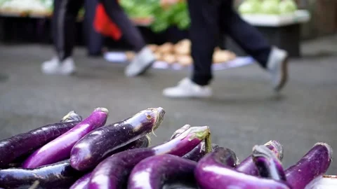 People walking between eggplants and other vegetables in farmer's market Stock Footage 334099041