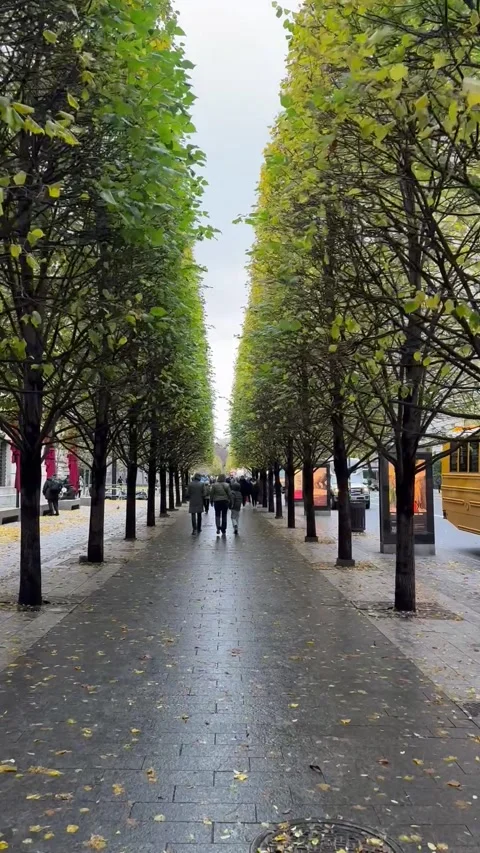 People walking between rows of Linden trees in front of the Met Museum in NYC Stock Footage 322919183