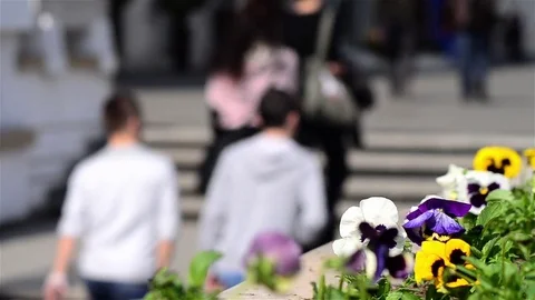 People walking on blurred background Stock Footage 72269841