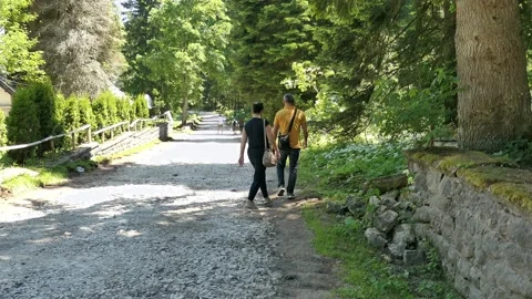 People walking on boulder Stock Footage 156542369