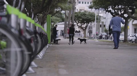People walking in boulevard Stock Footage 58151991