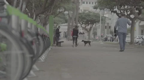 People walking in boulevard Stock Footage 58152020