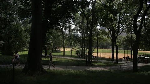 People walking in Central Park Stock-Footage 51562928