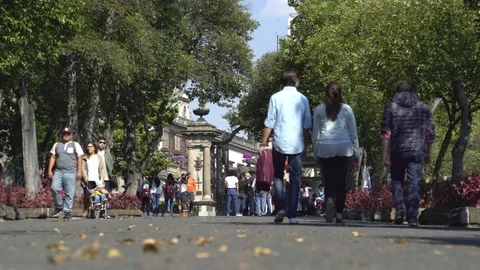 People walking in Chapultepec castle park promenade - Mexico City, Mexico Stock Footage 71211208