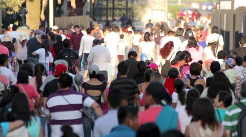 People walking in Chapultepec park. Stock Footage 62093849