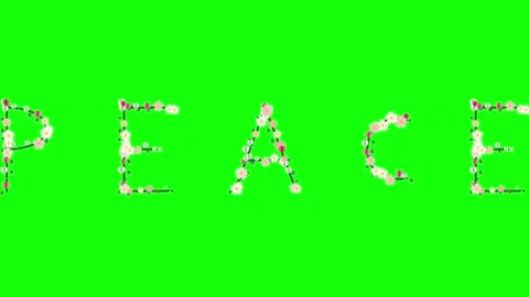 People Walking on Chroma Key for Compositing Stock Footage 337996630