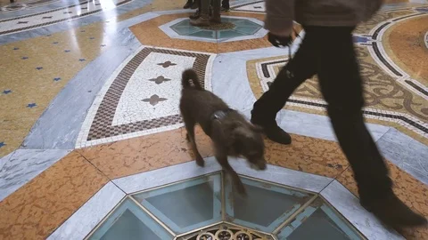 People walking on classical pavement Stock Footage 71018439