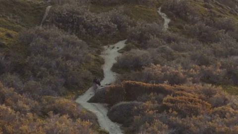 People walking in the countryside Stock Footage 73913580
