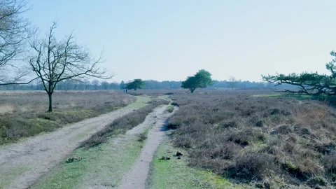 People walking on a countryside path through a heathland Stock Footage 335027084