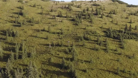 People walking in cranberry fields to top of Mountain - Aerial Top shot Stock Footage 119332209