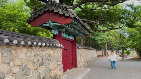 People walking by the daereungwon tomb complex in gyeongju 스톡 동영상 343066023