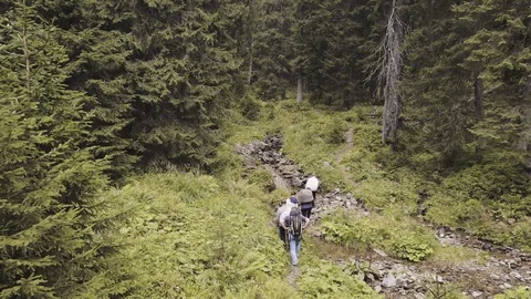 People walking in deep forest crossing small river - Aerial Stock Footage 119332935