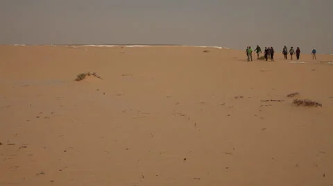 People walking the desert, Egypt Stock Footage 36711982