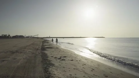 People walking with a dog on a sandy beach shore at sunrise Stock Footage 342446112