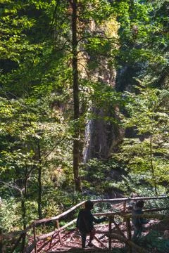 People walking down paths in mountain forest Stock Photos