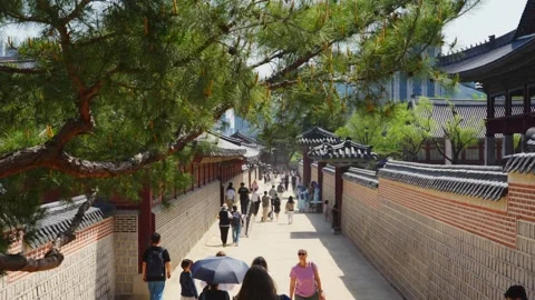 People walking down pathway in court at Gyeongbokgung Palace in seoul UNESCO Video stock 345020803