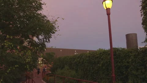 People walking down Pathway with a Lamp Post at Dusk Stock Footage 139313632