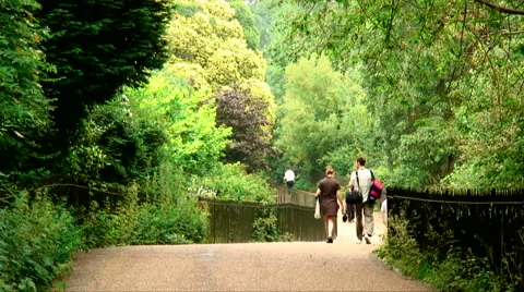 People walking down a pathway through trees in Paris, France. Stock Footage 52321314