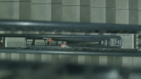 People Walking Down Staircase Stock Footage 10684650